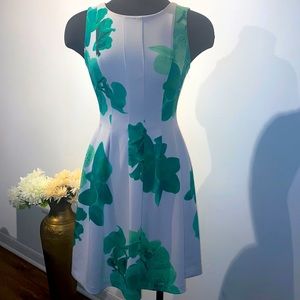 Calvin Klein Fit & Flare Dress w/ Pockets